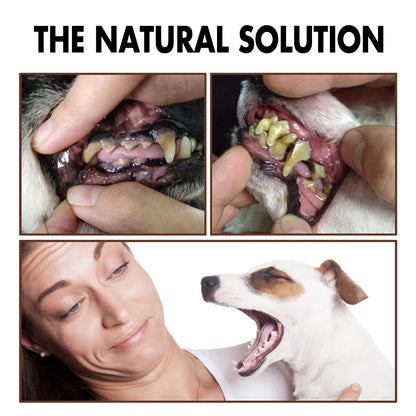 Pet Tooth Cleaning Spray Dogs Remove Bad Breath Freshener Cats Oral Cleaning Dental Care Deodorization Spray Pet Supplies 30Ml