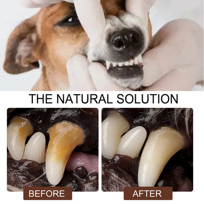 Pet Tooth Cleaning Spray Dogs Remove Bad Breath Freshener Cats Oral Cleaning Dental Care Deodorization Spray Pet Supplies 30Ml